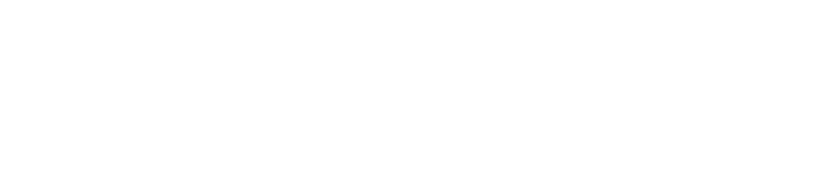MentorX Business Solutions